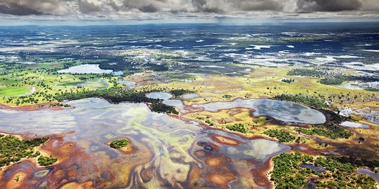 Menyusuri Pantanal: Surga Ekowisata di Brazil